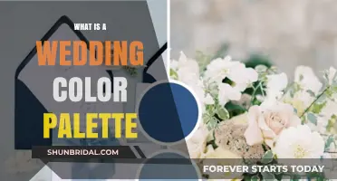 Choosing Your Perfect Wedding Color Palette: A Complete Guide