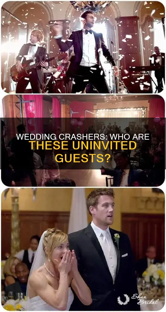what is a wedding crasher