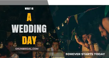 Understanding the Magic and Meaning of a Wedding Day Celebration