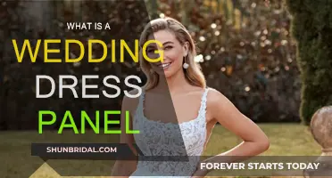 The Wedding Dress Panel: What You Need to Know