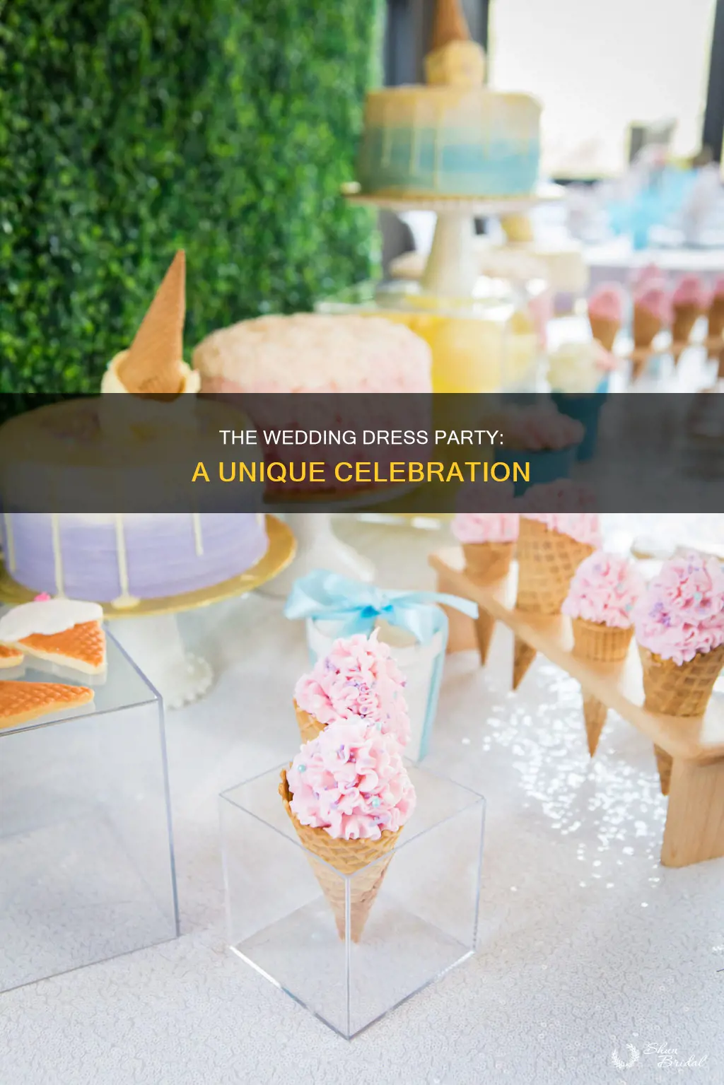 what is a wedding dress party