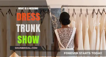 Experience Dream Wedding Dresses: Trunk Show Event