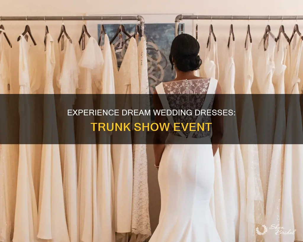 what is a wedding dress trunk show