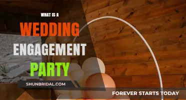 Celebrating Love: Understanding the Joy of a Wedding Engagement Party