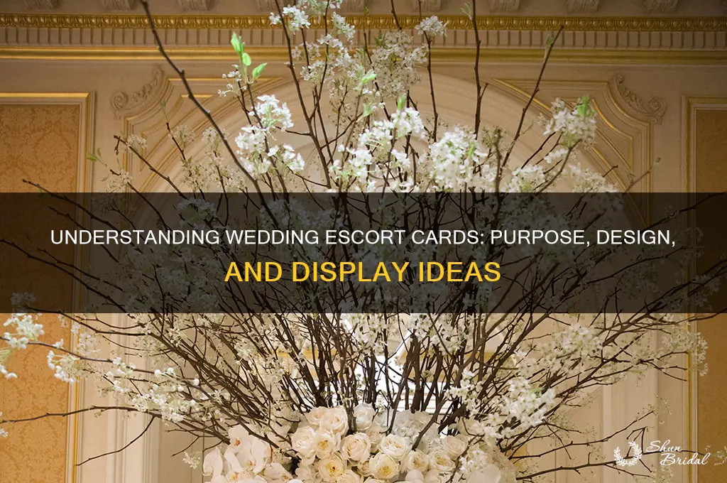 what is a wedding escort card