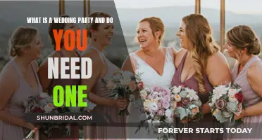 Wedding Party: Who Needs One and Why?