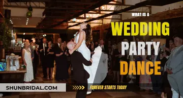 The Ultimate Guide to Wedding Party Dances: Fun, Tradition, and Celebration