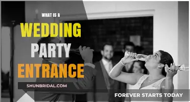 The Ultimate Guide to a Memorable Wedding Party Entrance