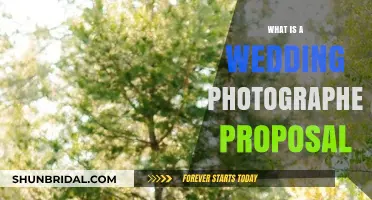 Wedding Photographer Proposals: How to Stand Out