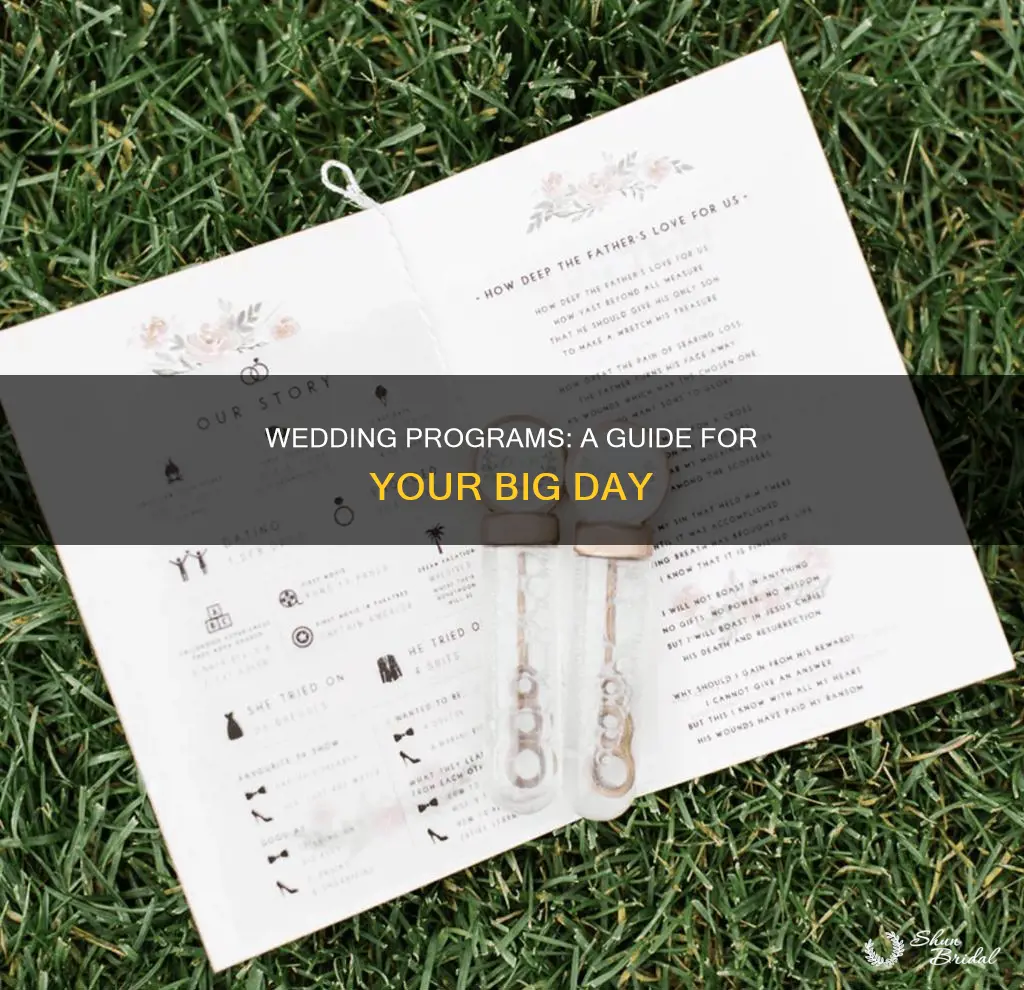 what is a wedding program