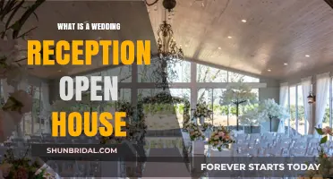 A Wedding Reception Open House: What's the Deal?