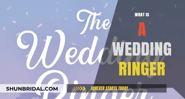The Wedding Ringer: A Friend for Hire