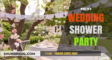 Understanding the Joy and Tradition of a Wedding Shower Party