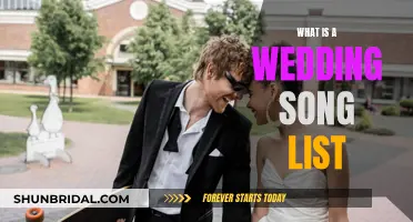 Wedding Song Lists: Curating the Perfect Musical Experience