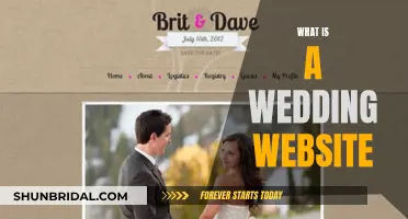 A Wedding Website: Your Nuptial's Digital Companion