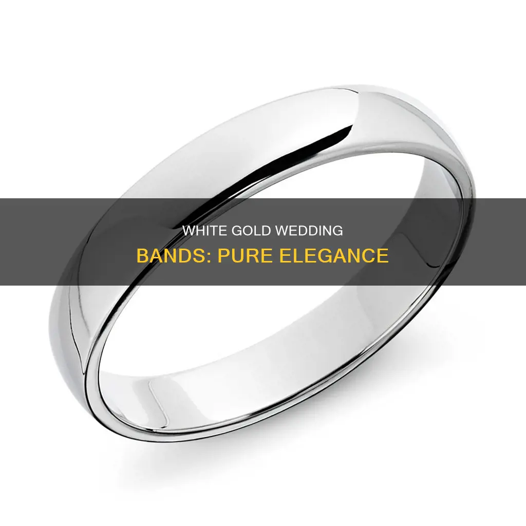 what is a white gold wedding band