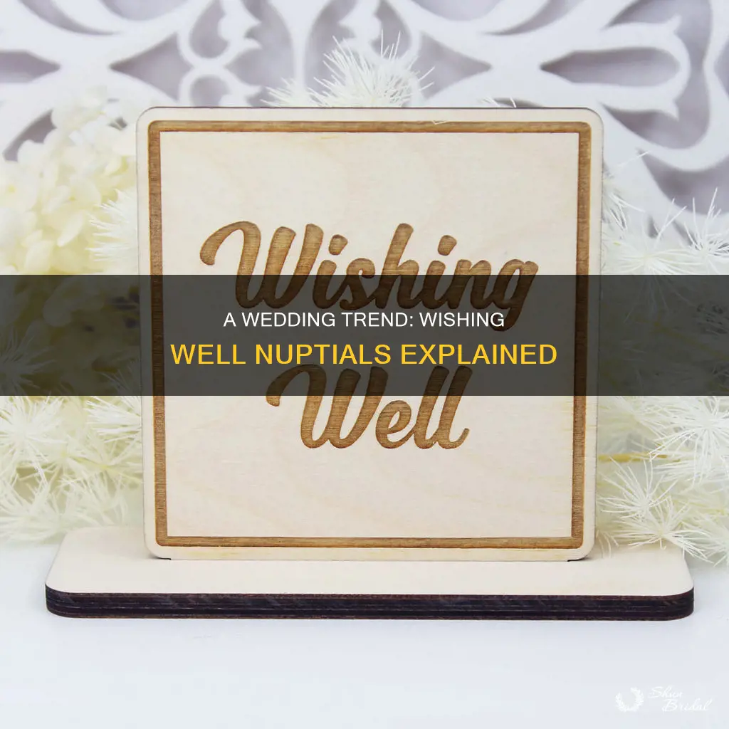 what is a wishing well wedding