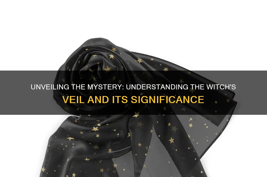 what is a witch