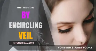 Encircling Veil's Impact: Unveiling the Affected Realms and Consequences