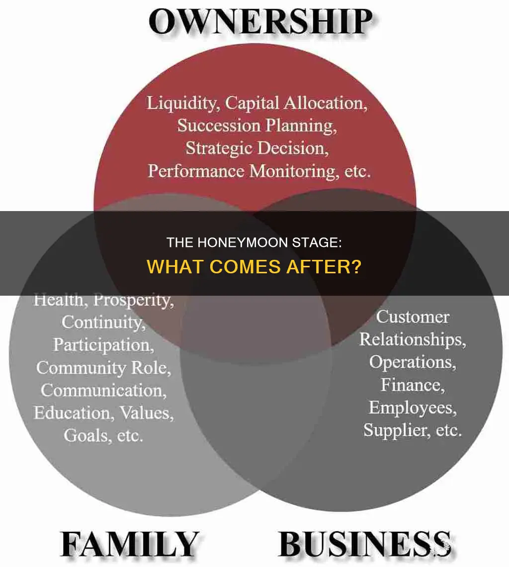 what is after the honeymoon stage