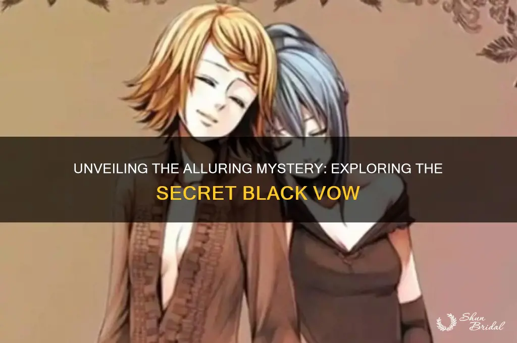 what is alluring secret black vow about