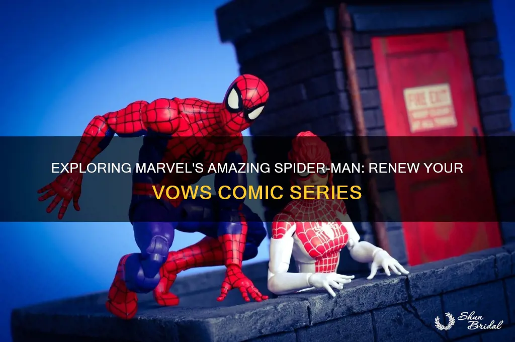 what is amazing spider man renew your vows