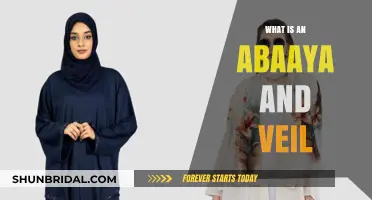 Understanding the Abaya and Veil: Cultural Significance and Modern Interpretations