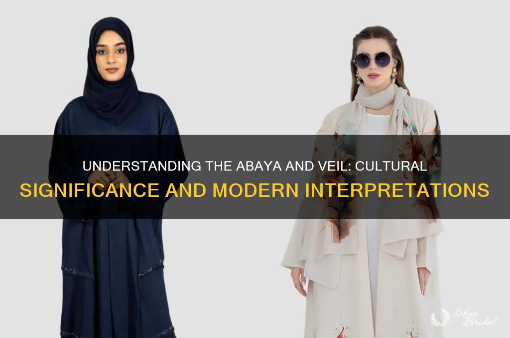 what is an abaaya and veil