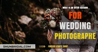 Capturing the Romance: Post-Wedding Photo Sessions