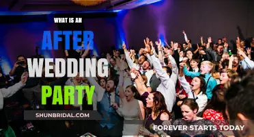 Celebrating Love Beyond the Big Day: The Joy of After-Wedding Parties