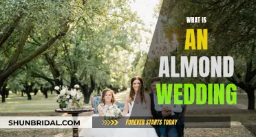 Almond Wedding Traditions: Ancient Rituals, Modern Celebrations