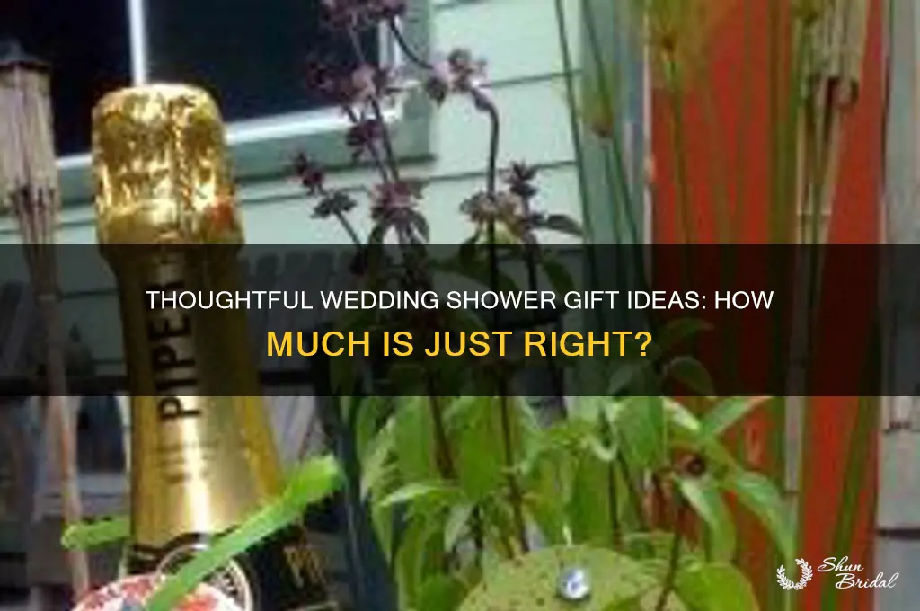 what is an appropriate amount for a wedding shower gift