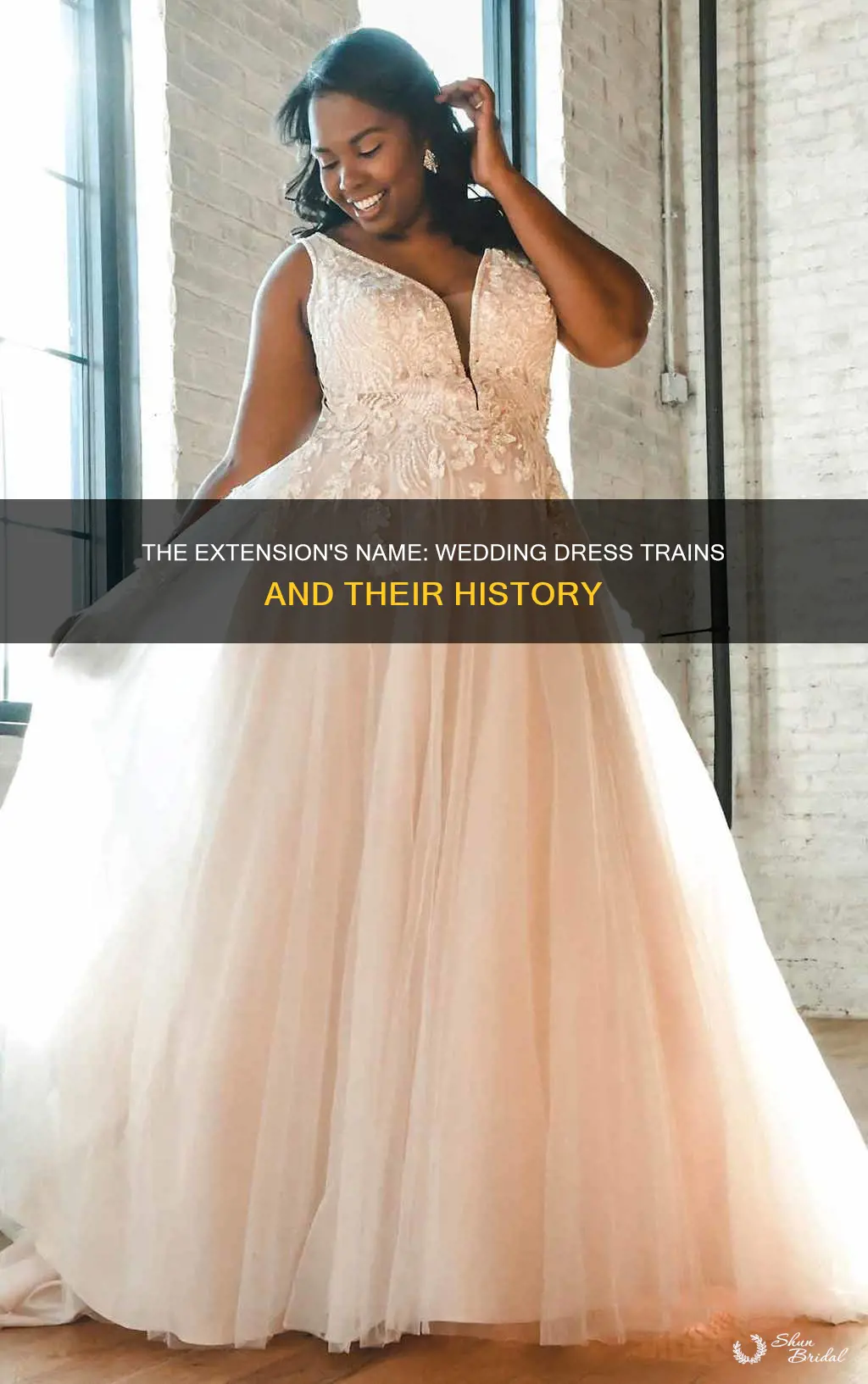 what is an extension on a wedding dress called