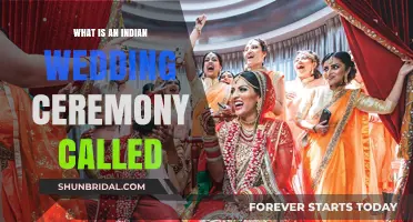 Exploring the Rich Traditions of an Indian Wedding Ceremony