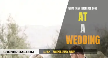 Interlude Songs: Enhancing Wedding Moments