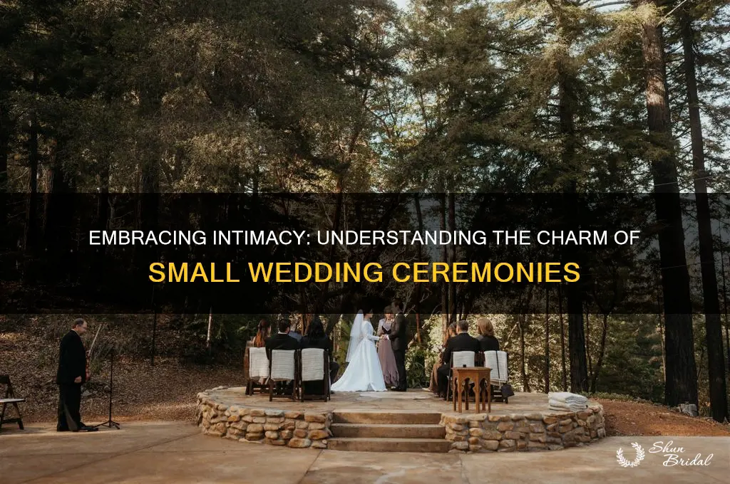 what is an intimate wedding ceremony