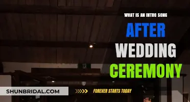 Perfect Post-Wedding Ceremony Intro Song Ideas to Kickstart Your Celebration