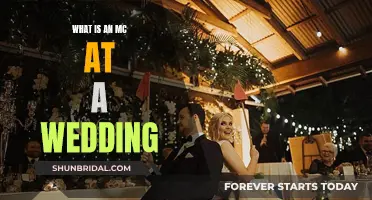 The Master of Ceremonies: Their Role at Your Wedding