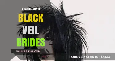Understanding Andy Biersack's Role in Black Veil Brides