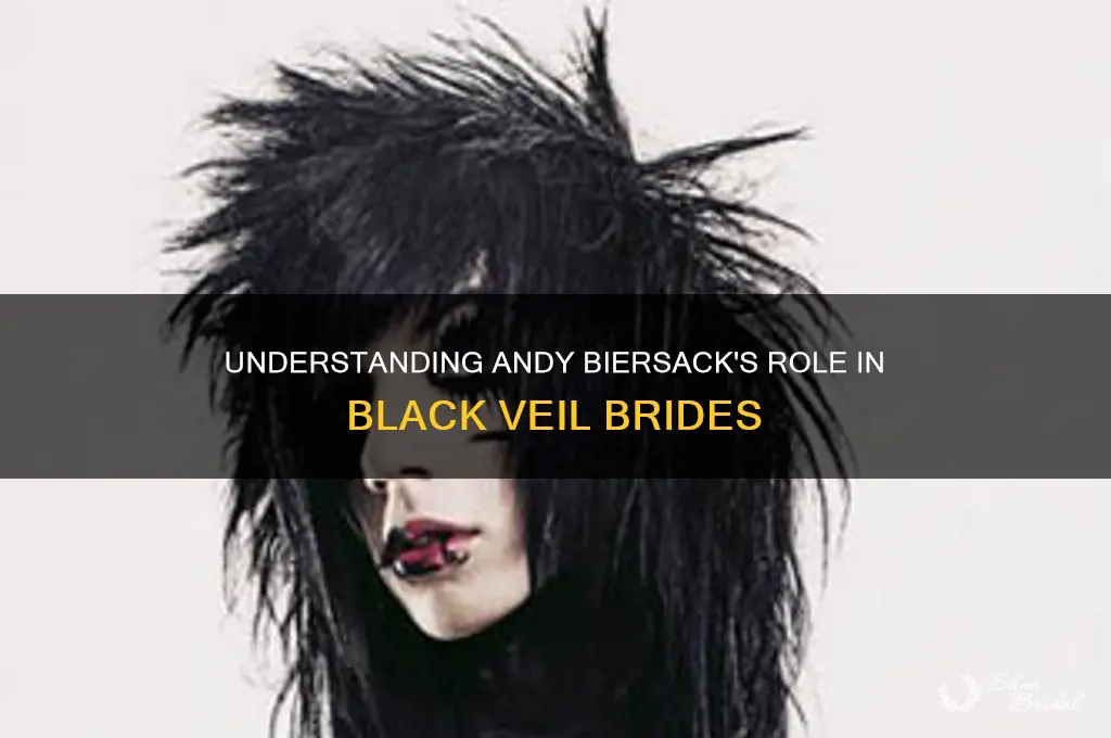 what is andy in black veil brides