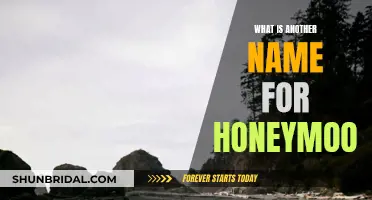 The Many Names of Honeymoon Explained