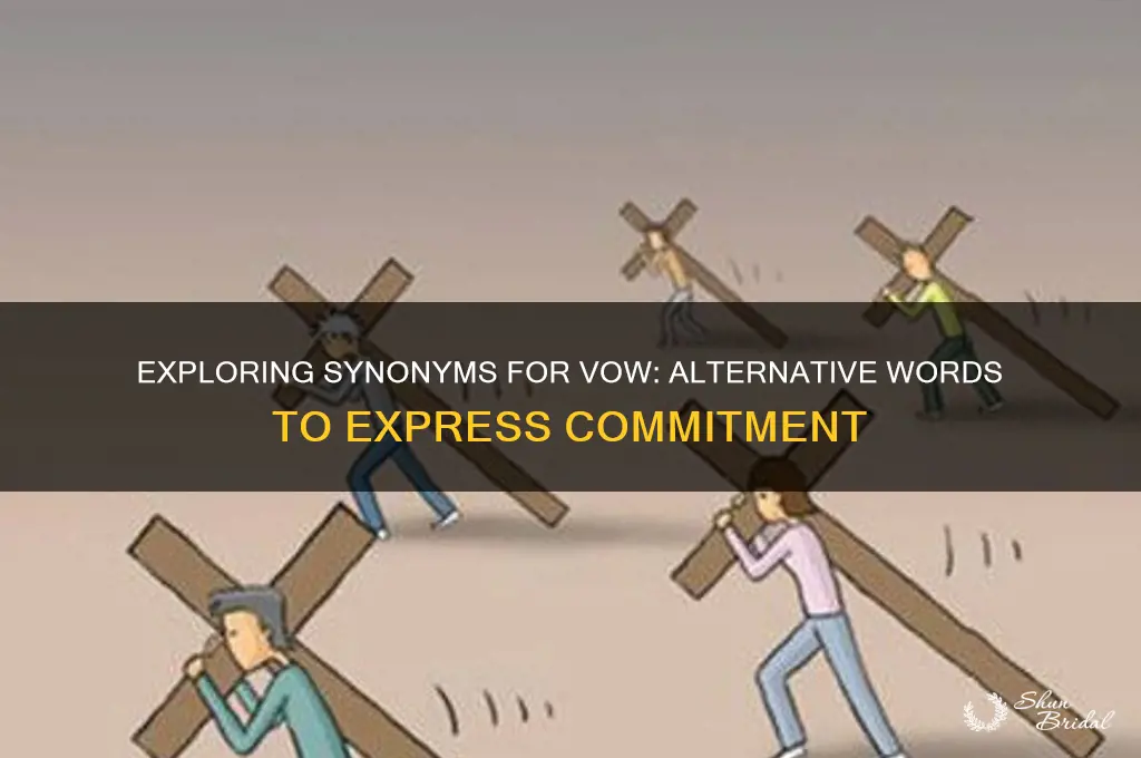 what is another way to say vow