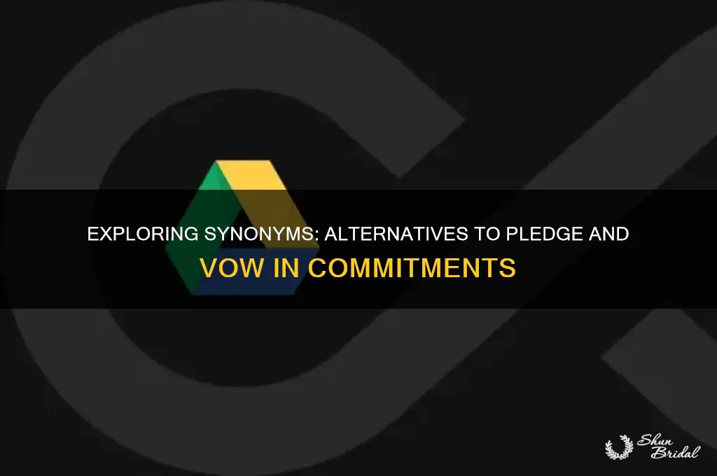 what is another word for pledge vow