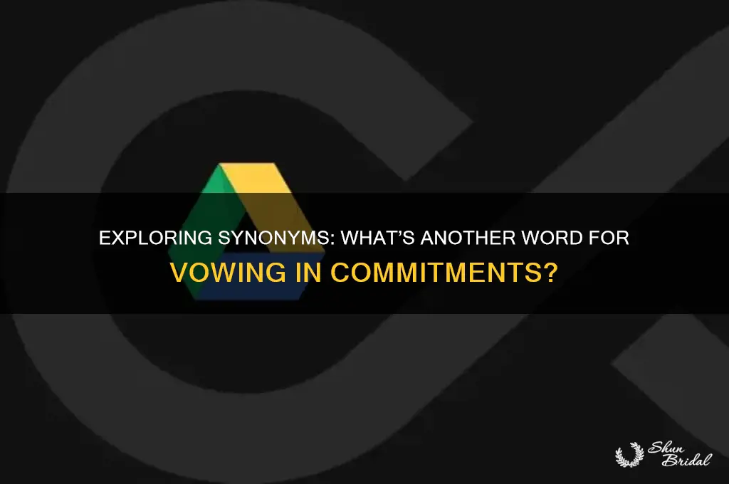 what is another word for vowing