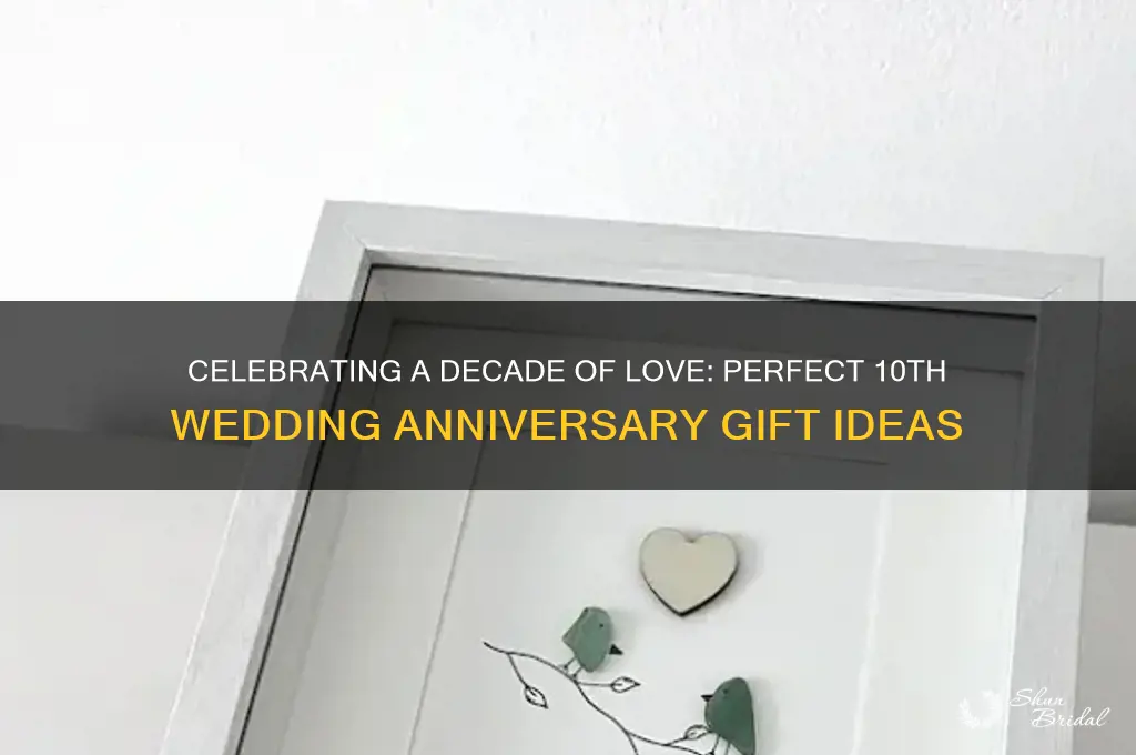 what is approppriate 10th wedding anniversary gift