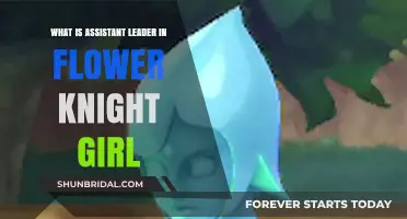 Understanding the Role of Assistant Leader in Flower Knight Girl