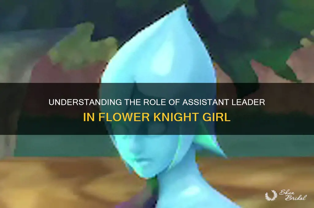 what is assistant leader in flower knight girl