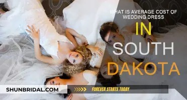 South Dakota Wedding Dress Costs: How Much?