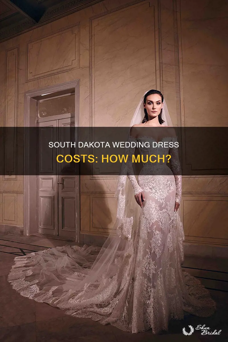 what is average cost of wedding dress in south dakota