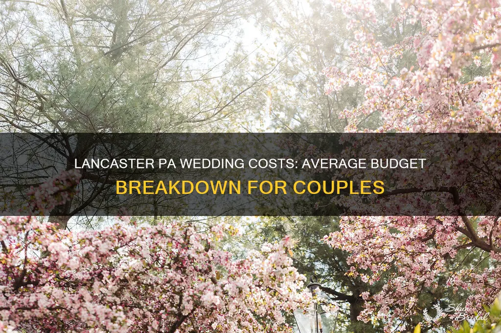 what is average cost of wedding near lancaster pa